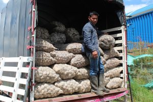 Homenaje a los campesinos buena papa